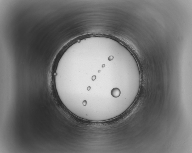 X0000101690880200807311410