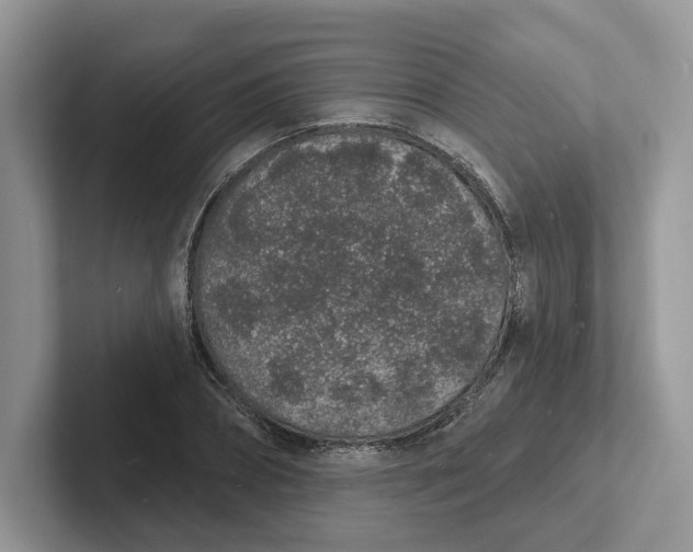 X0000101690882200807311410