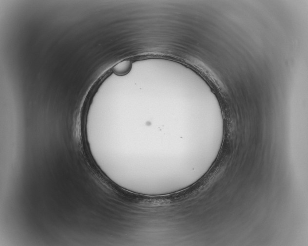 X0000101690884200807311410