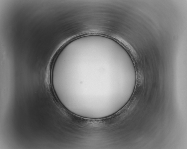 X0000101690886200807311410