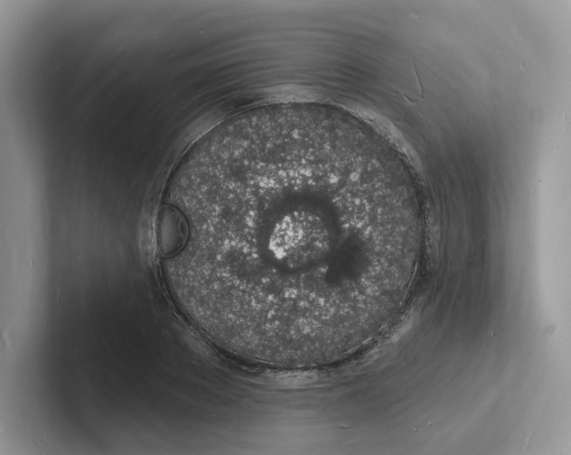 X0000101690889200807311409