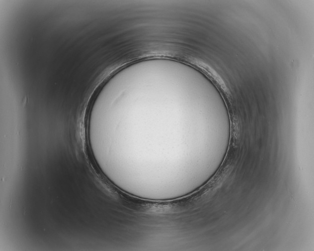 X0000101690890200807311409