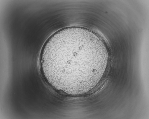 X0000101690892200807311409