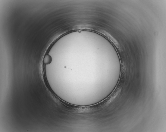 X0000101690893200807311409