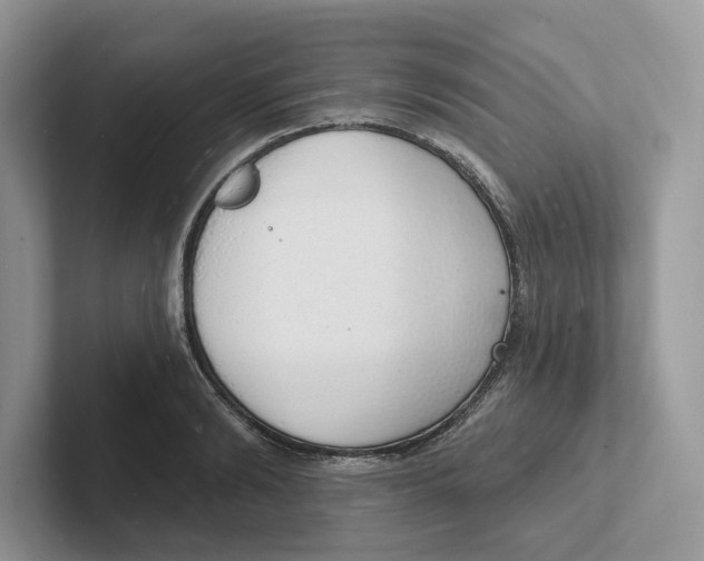 X0000101690894200807311409