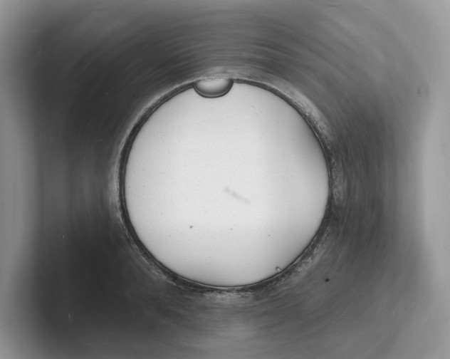 X0000101690896200807311409