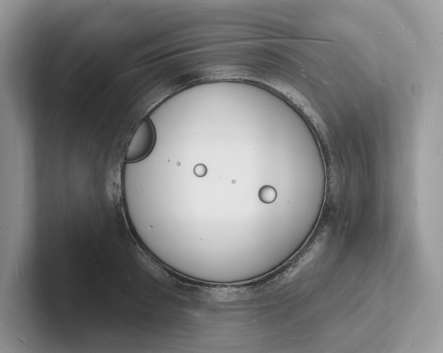 X0000101690897200807311409