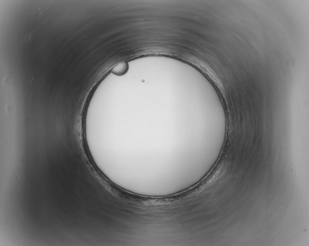 X0000101690898200807311409