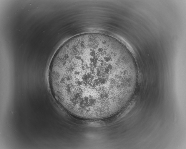 X0000101690899200807311409