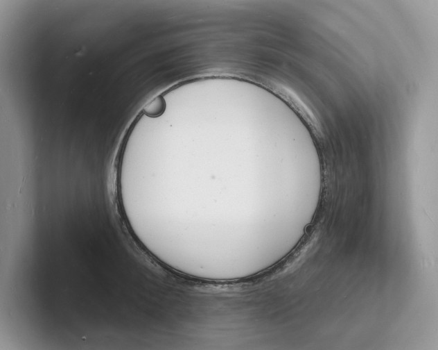 X0000101690900200807311409