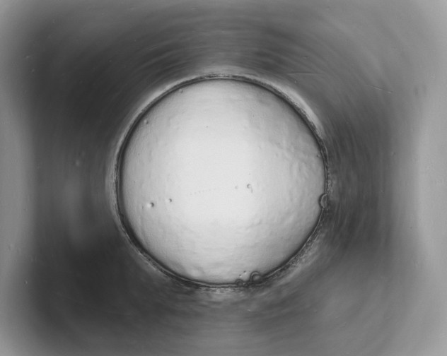 X0000101690903200807311409