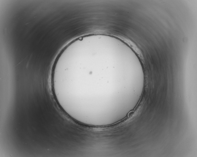 X0000101690904200807311409