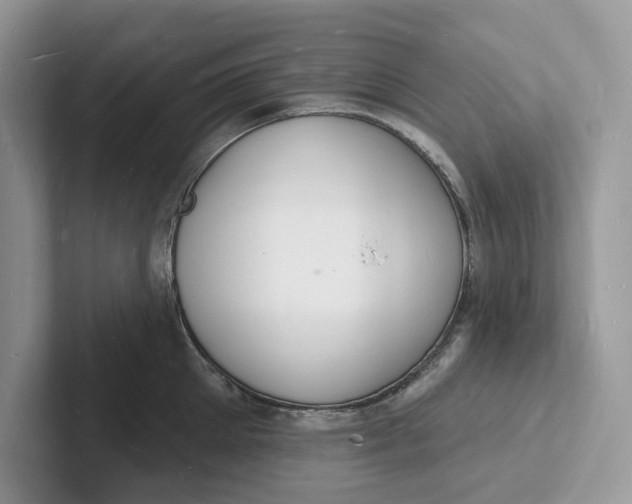 X0000101690905200807311409