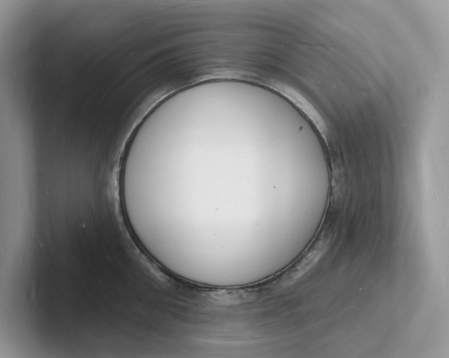 X0000101690906200807311409