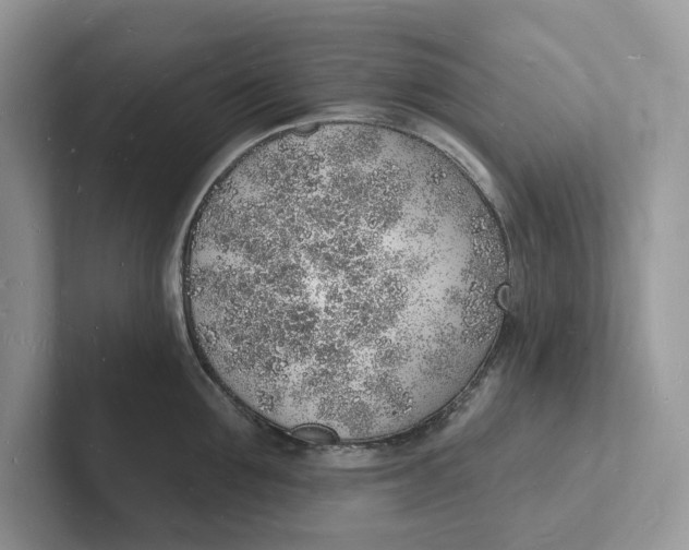 X0000101690907200807311409