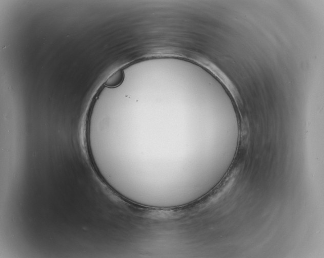 X0000101690909200807311409