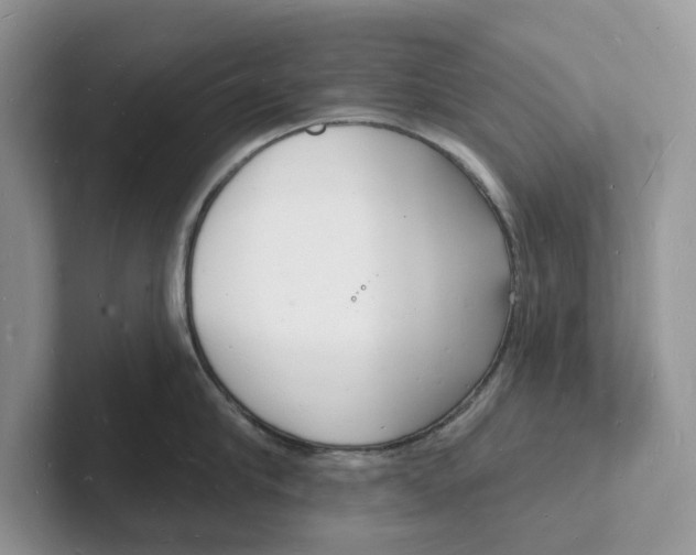 X0000101690910200807311409