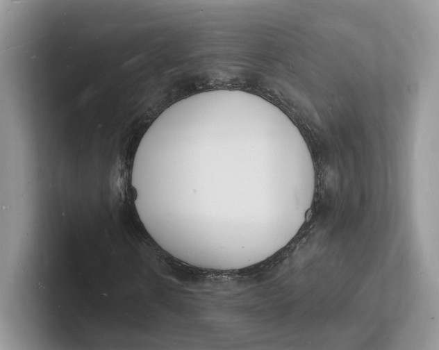 X0000101690914200807311409