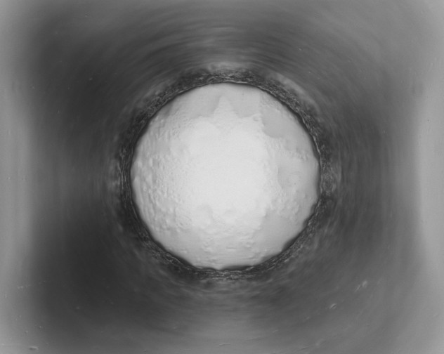 X0000101690917200807311409