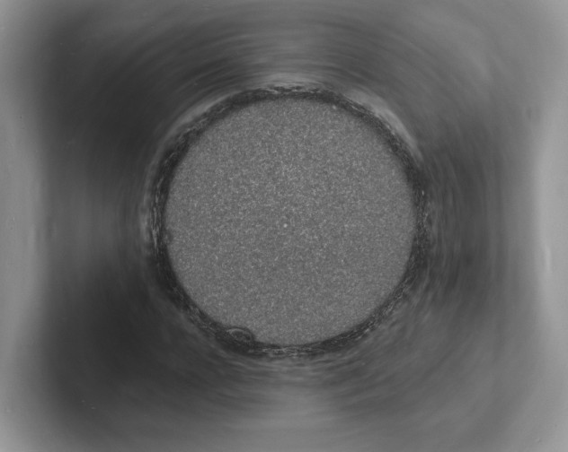 X0000101690920200807311409