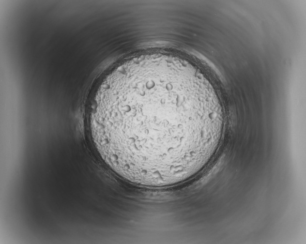 X0000101690921200807311409