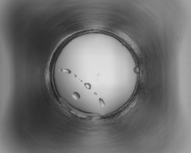 X0000101690924200807311409