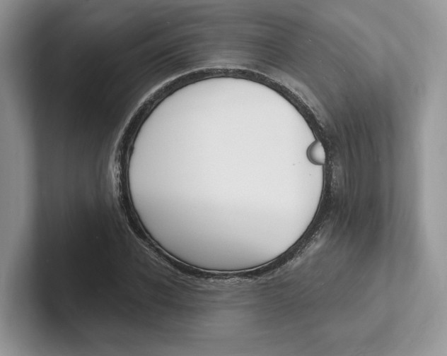 X0000101690926200807311409