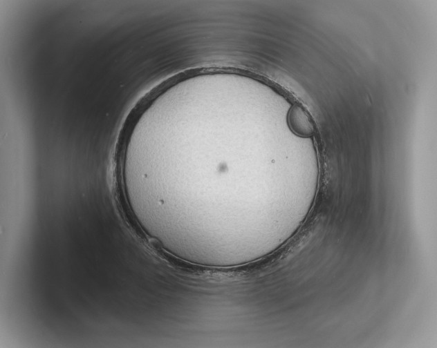 X0000101690928200807311409