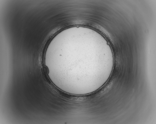 X0000101690930200807311409