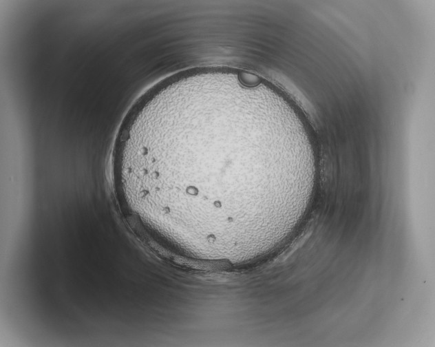 X0000101690932200807311409