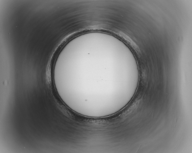 X0000101690934200807311409