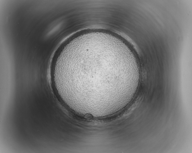 X0000101690935200807311409