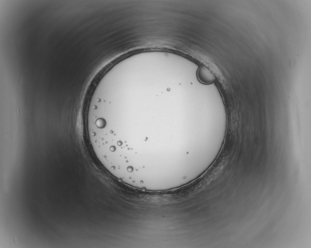 X0000101690936200807311409