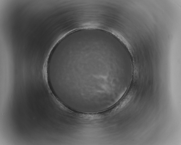 X0000101690941200807311409