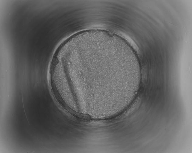 X0000101690944200807311409