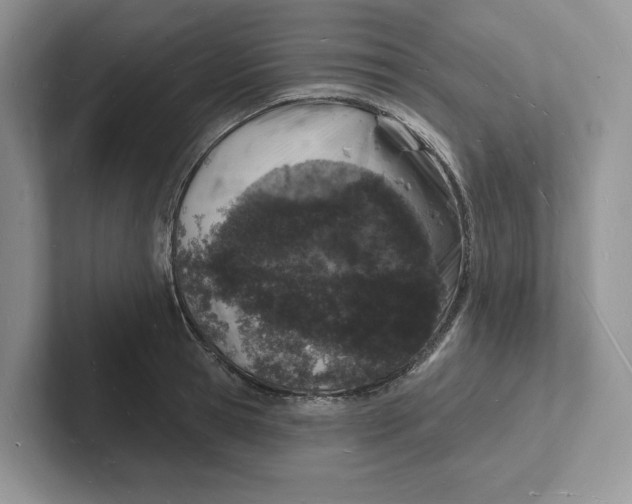 X0000101690945200807311409