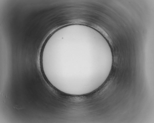 X0000101690947200807311409