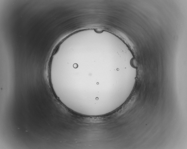 X0000101690952200807311409