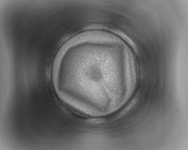 X0000101690953200807311409