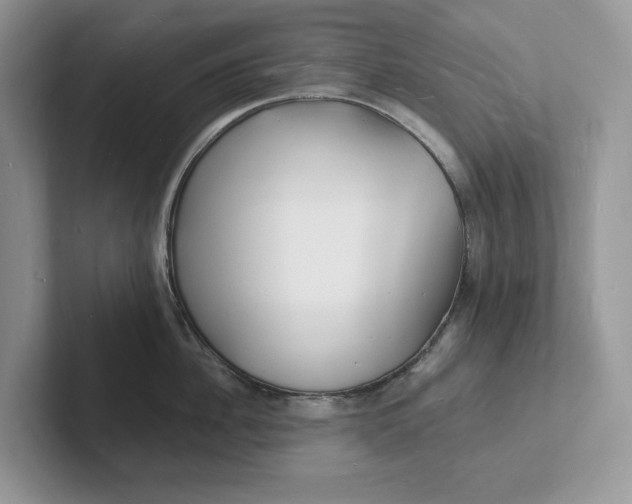 X0000101690956200807311409