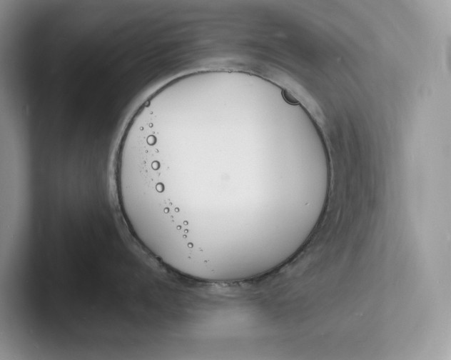 X0000101690960200807311409