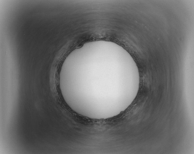 X0000101690961200807311409