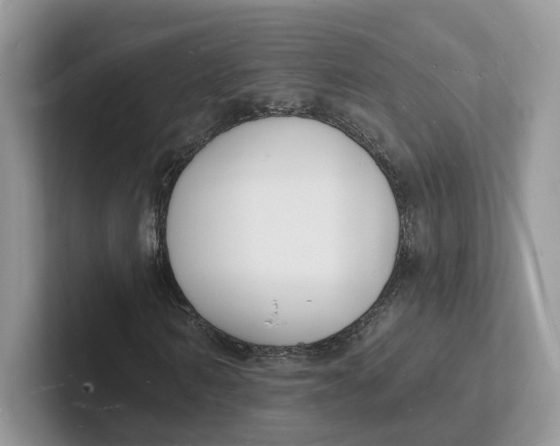 X0000101690962200807311409