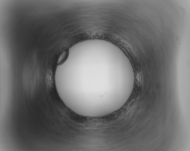 X0000101690963200807311409