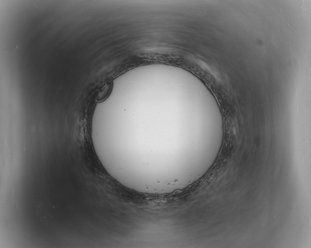 X0000101690965200807311408