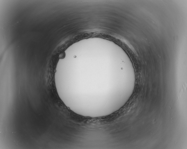 X0000101690967200807311408