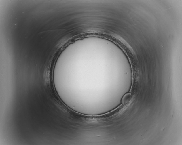 X0000101690969200807311408