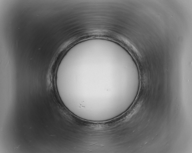 X0000101690970200807311408