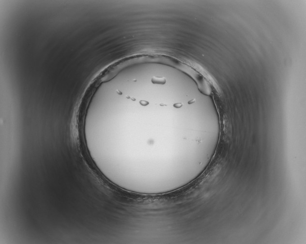 X0000101690972200807311408