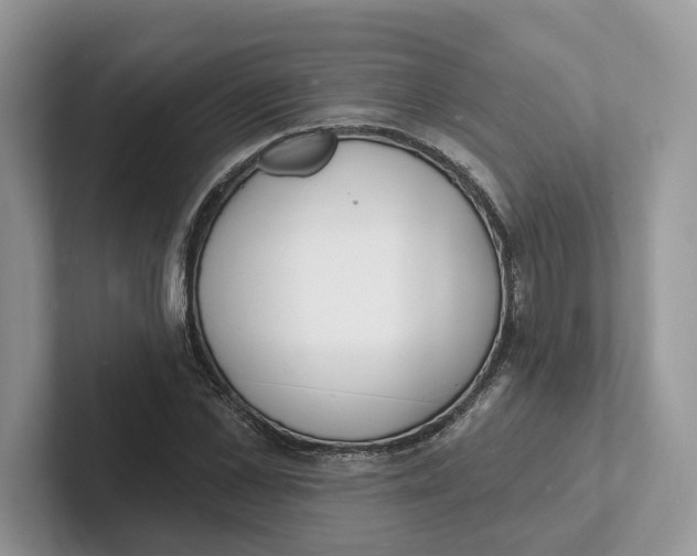 X0000101690973200807311408